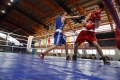 Могилевские спортсмены завоевали 8 медалей на республиканской спартакиаде ДЮСШ по боксу