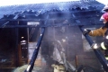 Частный дом горел в Могилёве. Пострадавших нет