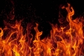 В Могилевском районе супруги жгли обрубленные сучья деревьев на своем участке, огонь перебросился на соседний — погиб пенсионер