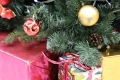 Благотворительная акция «Чудеса на Рождество» стартует в Беларуси 4 декабря