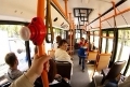 Могилёвские водители смогут бесплатно ездить в общественном транспорте 