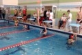 Юные пловцы со всего региона соревнуются в Могилёве 