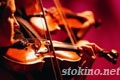 Скрипачи и виолончелисты будут состязаться в Могилёве с 30 марта по 1 апреля 