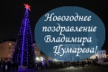 Новогоднее поздравление Владимира Цумарева