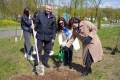 Могилев присоединился к международной акции «Сад Памяти»