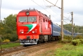 Новый поезд будет курсировать по маршруту Гомель-Витебск через Могилев