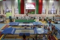 Могилёвские атлеты успешно выступили на турнире «Double Twist» 