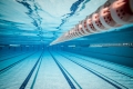 Спортсмены Могилевщины завоевали медали всех достоинств на Олимпийских днях молодежи Беларуси по плаванию