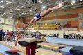 Лучшие гимнасты трёх стран пробуют силы в Могилёве перед чемпионатом мира