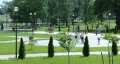 Из соображений безопасности: склон в Подникольском парке в Могилёве «обрастёт» можжевельником
