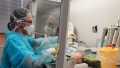 Более 76 тыс. тестов на коронавирус проведено в Беларуси