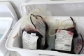 519 доноров и 300 литров крови. Итоги акции по безвозмездной сдаче крови 