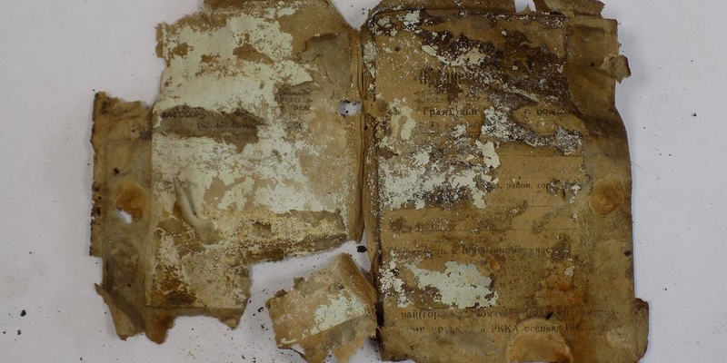 В Могилеве судебные эксперты помогли установить личность красноармейца, документы и останки которого найдены при раскопках