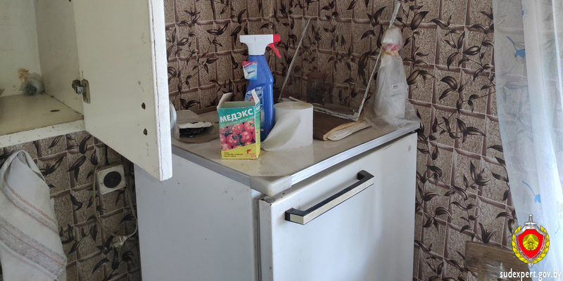 В Могилевском районе обокрали дачу 80-летнего жителя областного центра