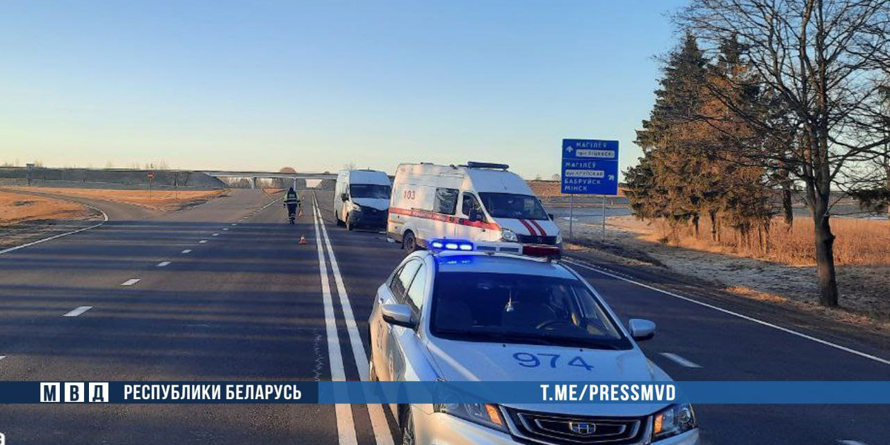 В ДТП под Могилевом погиб пешеход