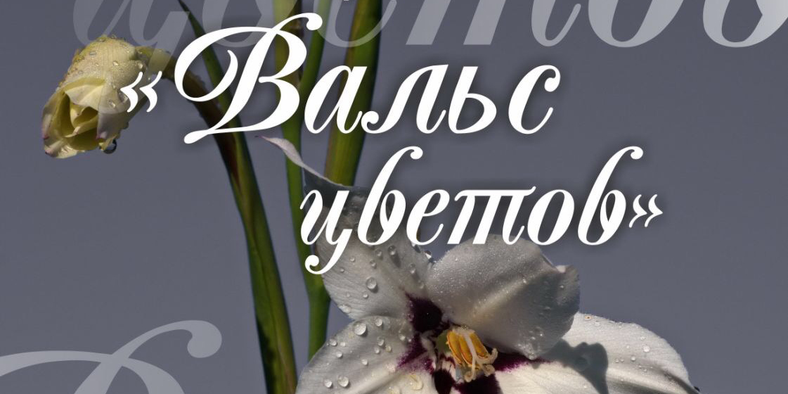 Фотовыставка «Вальс цветов» откроется в Могилеве 3 марта