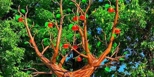 Со спелыми яблочками: в Могилеве появилось еще одно кованое дерево