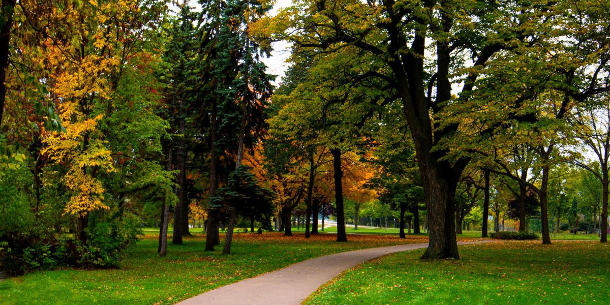 В субботу до +17°С, в воскресенье дожди: погода в Могилеве на выходные