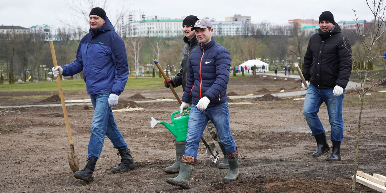 Около 400 деревьев высадили в могилевском парке в Подниколье