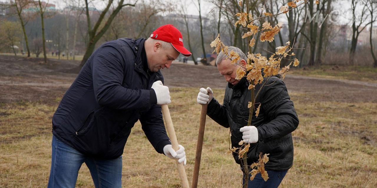 Дубовую аллею высадили в Подниколье во время городского субботника