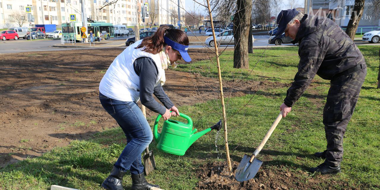 Общегородской субботник пройдет в Могилеве 16 апреля