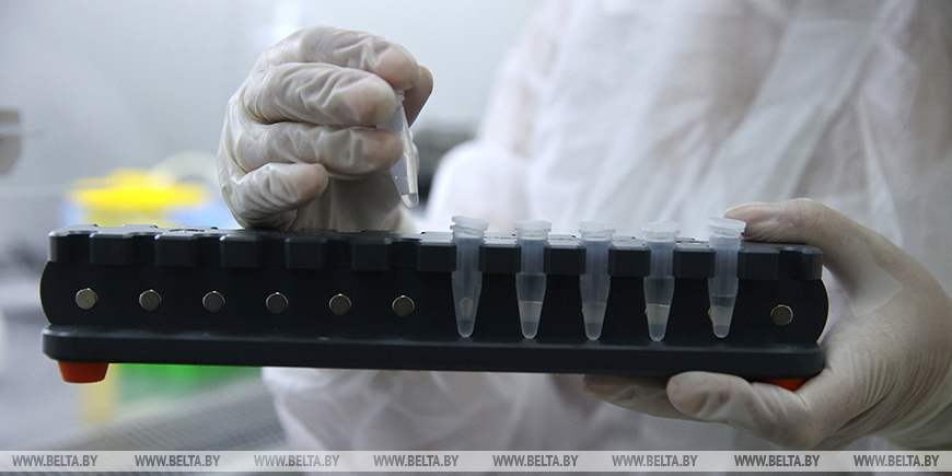 Тест-системы для выявления оспы обезьян разработали в Беларуси