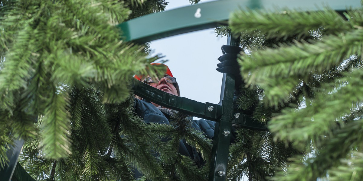 Праздник к нам приходит: в Могилеве устанавливают главную елку области