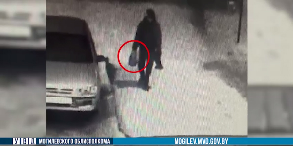 В Могилеве задержали вора, кравшего вещи из автомобилей