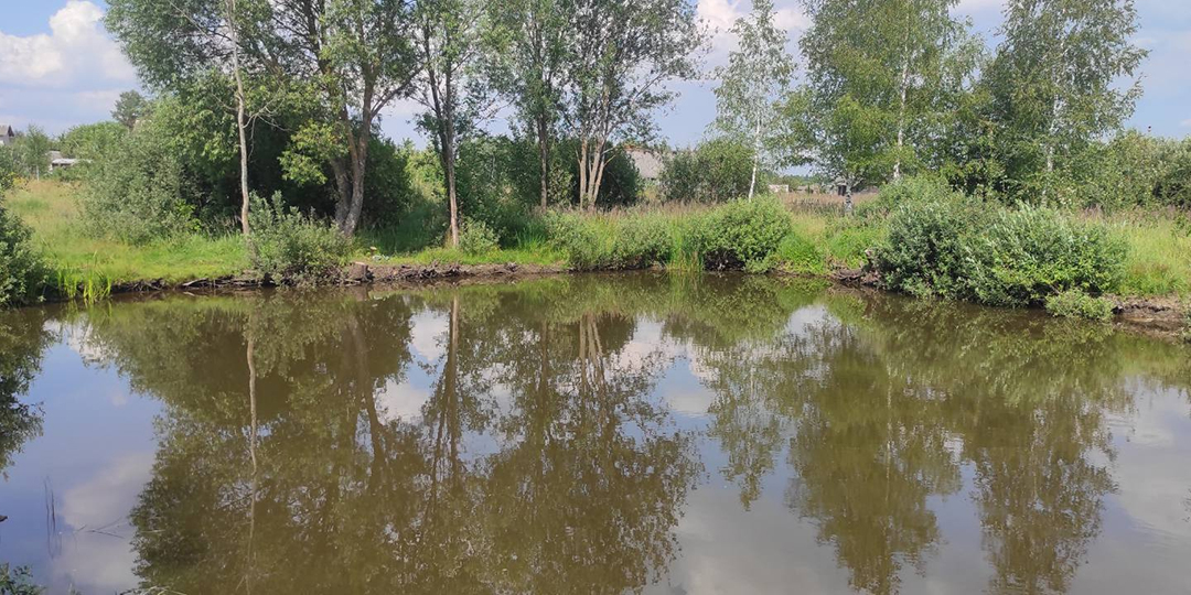 В Могилевском районе утонул ребенок