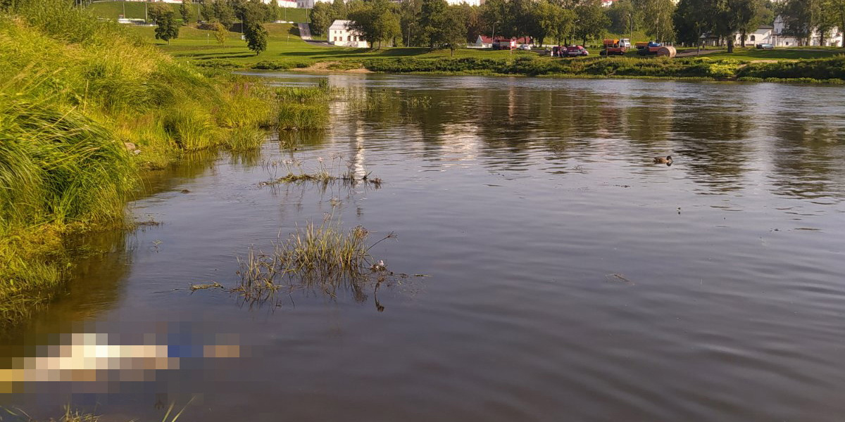В Могилеве в Днепре утонул мужчина