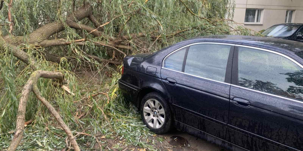 Подразделения МЧС области за выходные совершили 66 выездов на уборку упавших деревьев