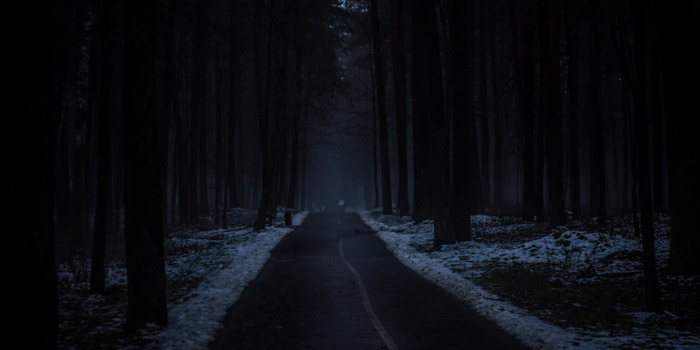 В Могилевском районе потерялся мужчина — на помощь пришли спасатели