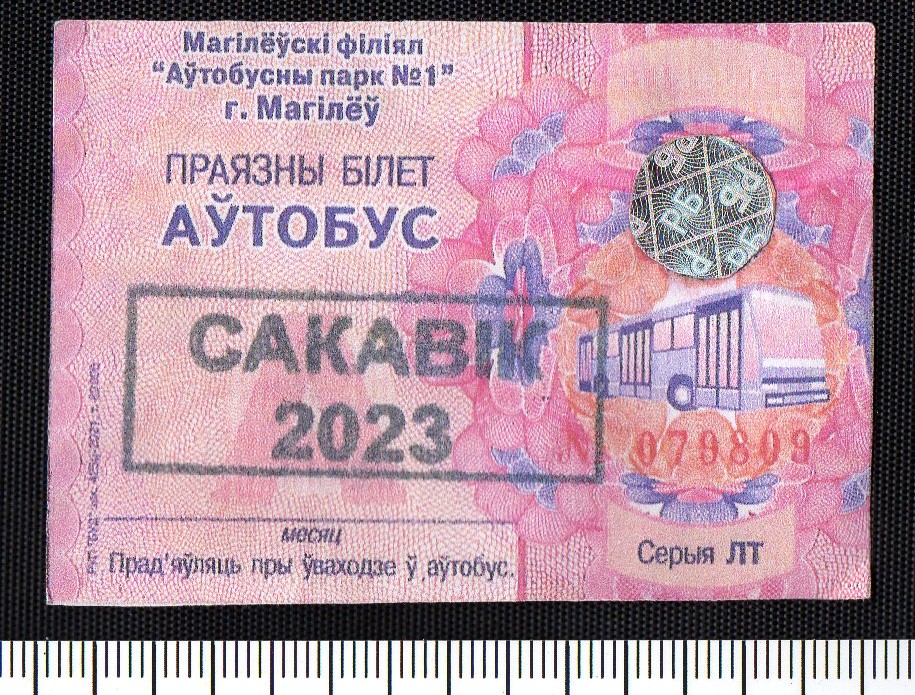 Один могилевчанин подделал проездной документ, другой — удостоверение инвалида