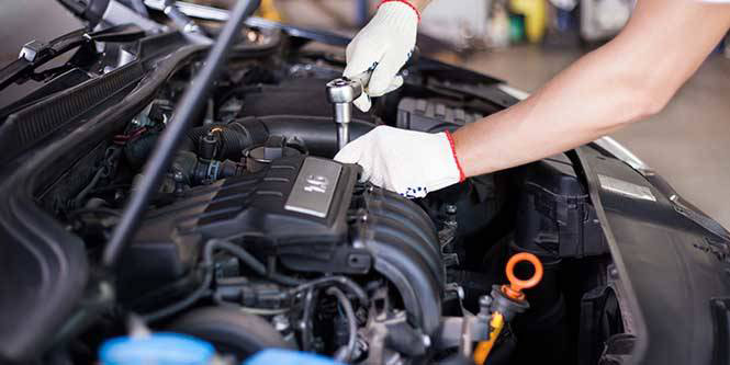 Субсидии на  открытие своего дела получили в 2025 году более 150 безработных жителей  Могилевской области