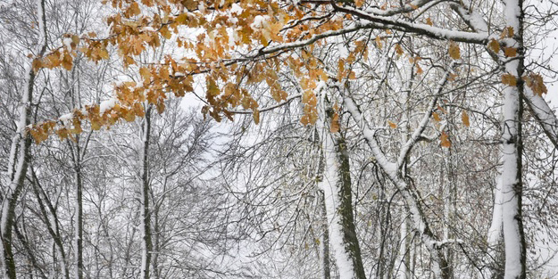Фотовыставка, посвященная 150-летию В.К. Бялыницкого-Бирули, откроется в Могилеве 25 января