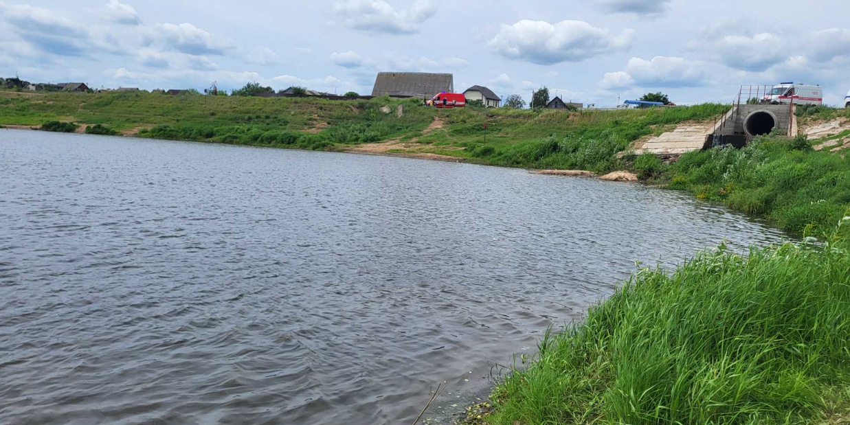 В Могилеве мужчина пытался спасти собаку и чуть не утонул сам