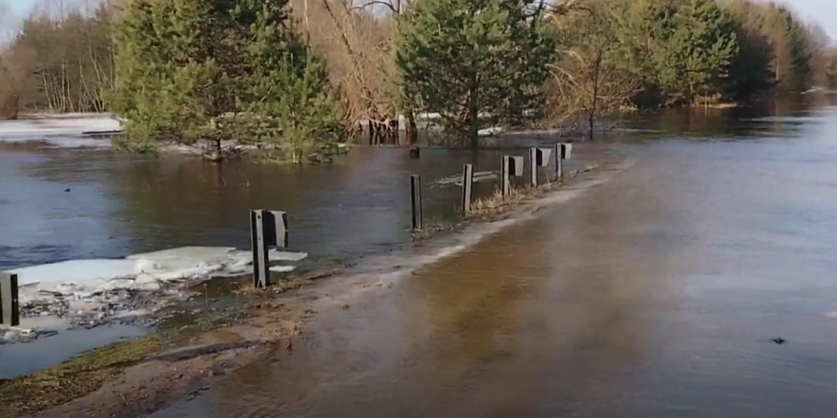 В Могилевском районе подтоплены участки дорог, мост и домовладения