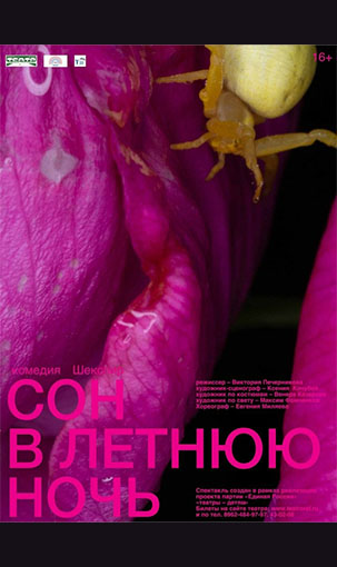 &laquo;СОН В ЛЕТНЮЮ НОЧЬ&raquo;