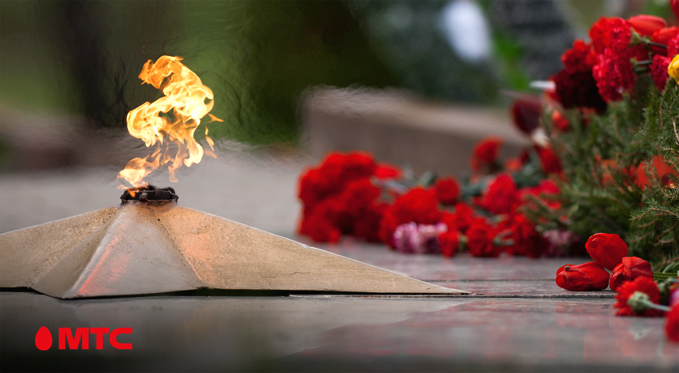 800 тысяч звонков на номер 1945: МТС поделился статистикой уникального проекта к 80-летию Победы