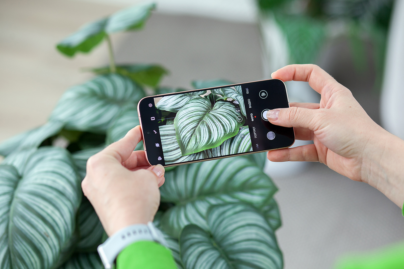 В Беларуси начались продажи флагманского смартфона Huawei Pura 80 с 5,5-кратным оптическим зумом