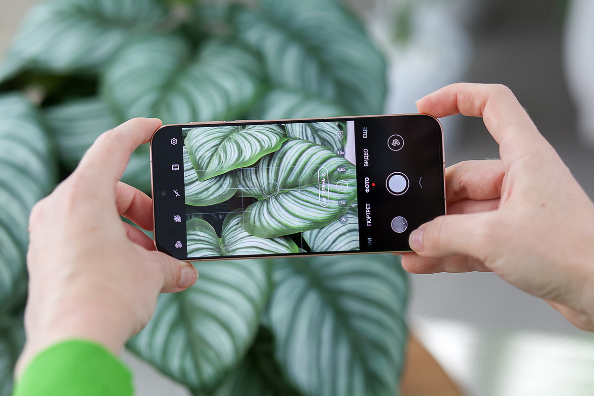 Уже в Могилеве: обзор нового флагманского смартфона Huawei Pura 80