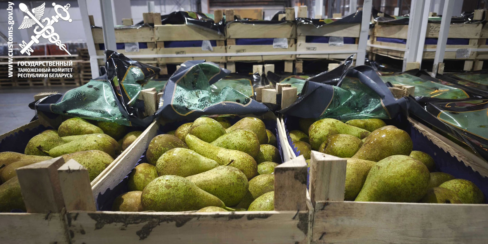 Могилевские таможенники выявили три грузовика с грушами без документов
