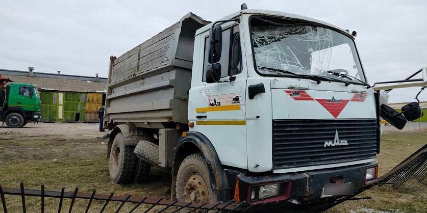 В Могилевском районе смертельно травмирован водитель