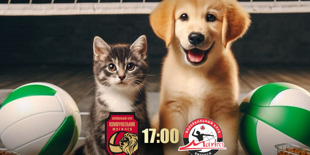 Любителей волейбола и добрых дел приглашают на матч «Коммунальник-Могилев» &mdash; «Марко-ВГТУ»