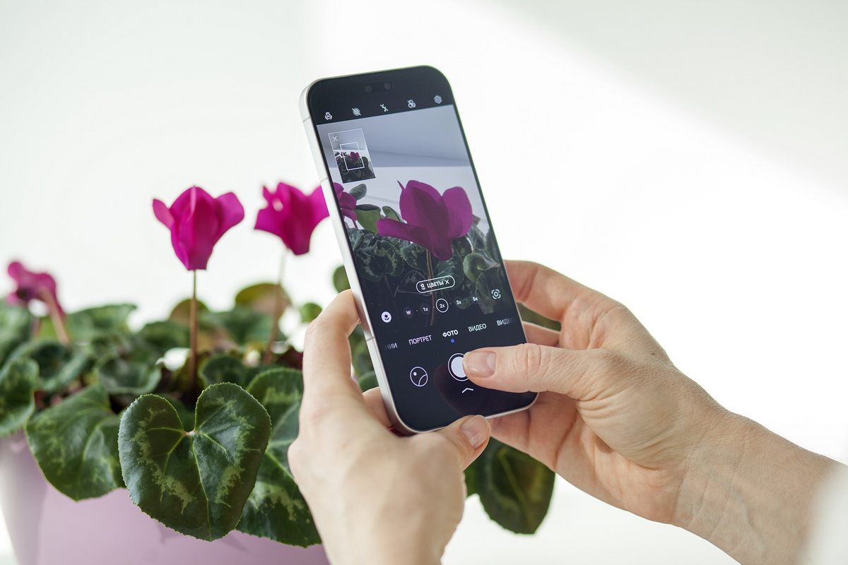 Теперь и&nbsp;в&nbsp;Могилеве: смартфон Huawei nova 15&nbsp;Pro с&nbsp;5-кратным селфи-зумом и&nbsp;батареей на&nbsp;6500 мАч