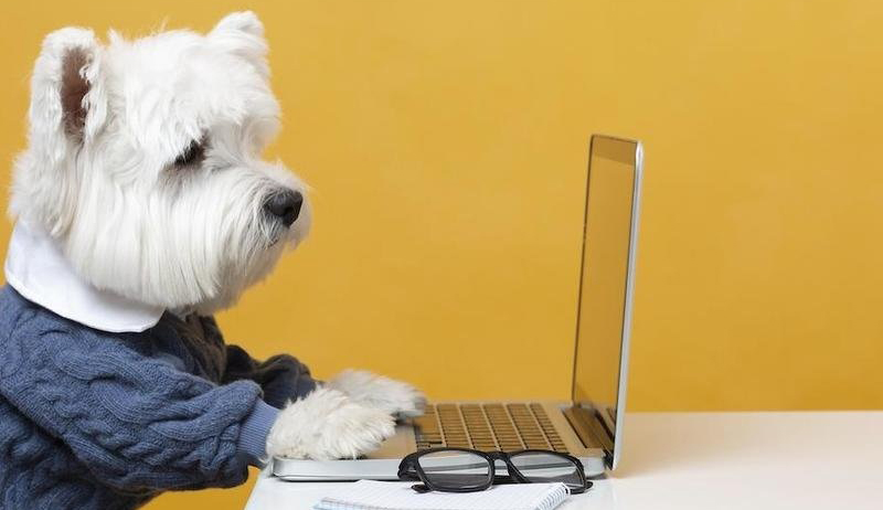 ����� ��������� ����� ��� ����������� ��������� ���������, ���������� � ����