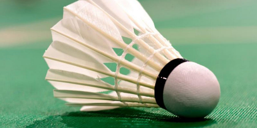 Первенство по бадминтону Могилевской городской СДЮШОР прошло в областном центре